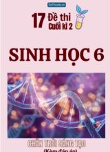 Tuyển tập 17 Đề thi cuối Kì 2 môn Sinh Học 6 sách Chân Trời Sáng Tạo (Kèm đáp án)